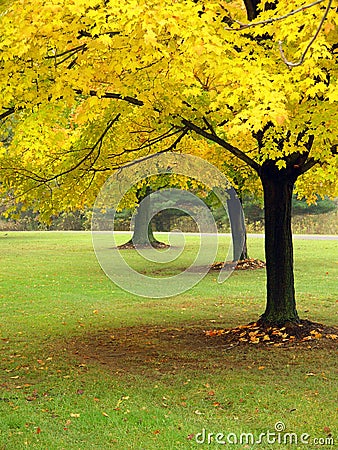 Autumn In Ohio Stock Photo