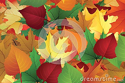 background autumn leaves is one of the four seasons in temperate Stock Photo