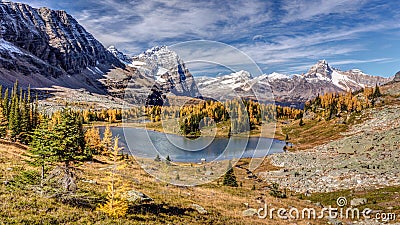 Autumn at the Opabin Plateau Stock Photo