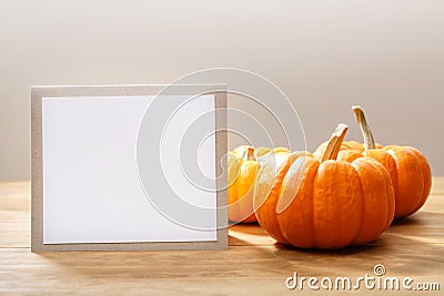 Autumn orange small pumpkins with message card Stock Photo