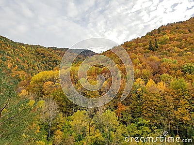 Autumn in Ordesa National Park, Pyrenees, Huesca, Aragon, Spain. With the magnificent coloring formed by the leaves of pines, firs Stock Photo