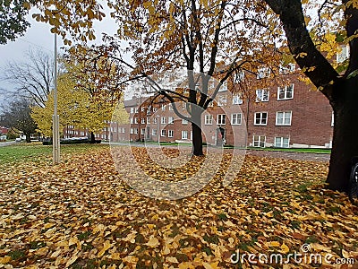 Autumn in Oslo, Norway. Sogn student village. Stock Photo