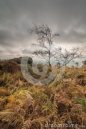 Autumn at Over Owler Tor Stock Photo