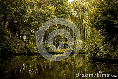 Autumn panorama reflected on water Stock Photo