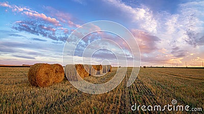 Autumn panorama rural field with cut grass at sunset Stock Photo