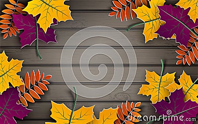 Autumn paper background, colorful tree leaves, wooden backdrop, 3d design for fall season banner, poster or thanksgiving day Vector Illustration