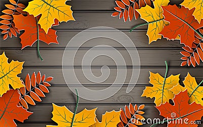 Autumn paper background, colorful tree leaves on wooden backdrop, design for fall season banner, poster or thanksgiving day card Vector Illustration