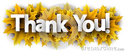 Autumn thank you sign with yellow maple leaves Vector Illustration