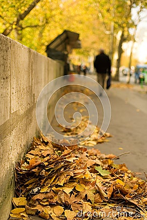 Autumn in Paris Stock Photo