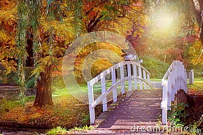 Autumn in a park in Amsterdam Stock Photo