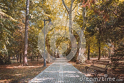 Autumn in the park, beautiful autumn landscape Stock Photo