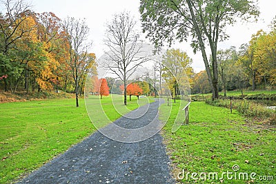 Autumn in park. Stock Photo