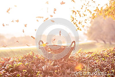 Autumn in the park: colorful leaves, basket the dry autumn leaves fall from the trees in the park at sunset, a place for the text Stock Photo