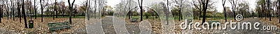 Autumn park 360 degrees panorama Stock Photo