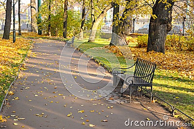 Autumn Park with fallen leaves and a bench Stock Photo