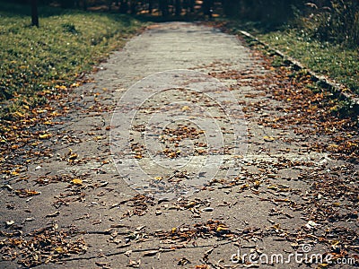 Autumn park with falling leaves,vertical,copyspace Stock Photo