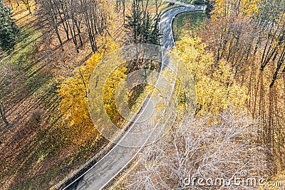 Autumn park, aerial view. winding bicycle lane surrounded by colorful yellow trees Stock Photo