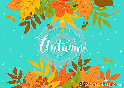 Autumn park leaves header border background on blue texture with rain drops Vector Illustration