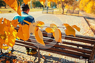 Man sitting on the bench in the park Stock Photo