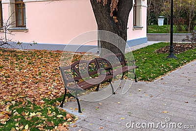 Autumn park in Marfo-Mariinsky cloister of mercy Editorial Stock Photo