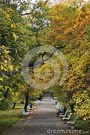 Autumn park in old prague. Autumn in Prague, favorite tourist destination Letna park Letenske sady, Czech Republic Stock Photo