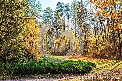 Autumn park in warm colors with scenery road Stock Photo