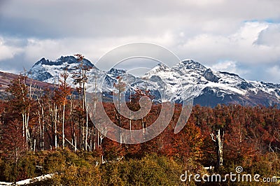 Autumn in Patagonia. Cordillera Darwin, Tierra del Fuego Stock Photo