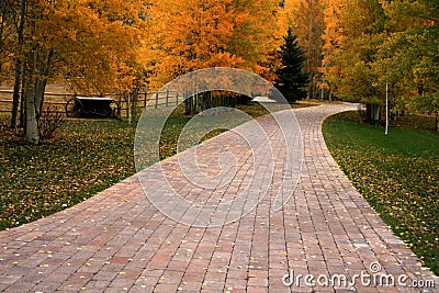 Autumn Path Stock Photo