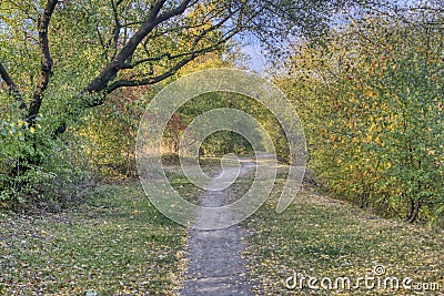 Autumn path, trees and bushes Stock Photo