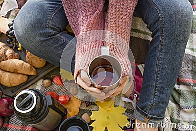 Autumn picnic in the park, warm autumn day. The girl holds a cup with tea in her hands. Basket with flowers on a blanket in yellow Stock Photo