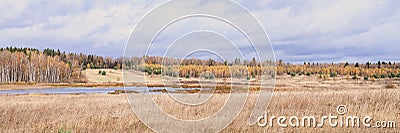 Autumn plain landscape. fall low sky with clouds, trees with yellow falling leaves, a pond and a field with withered grass. banner Stock Photo