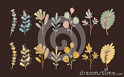 Autumn plants. Forest cute abstract leaves and cereal in garden ecological flat flowers botanical on dark background Vector Illustration