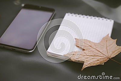 Autumn playlist. Poems about the autumn period. Headphones and telephone. Stock Photo