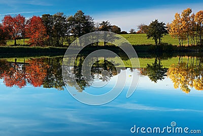 Autumn pond Stock Photo