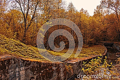 Autumn pond in the forest Stock Photo