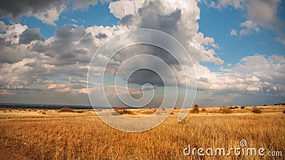 Autumn prairie Stock Photo