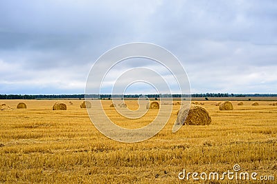 Autumn prairie Stock Photo