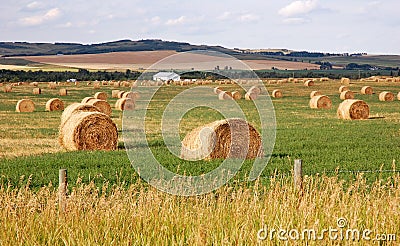 Autumn prairie and straw piles Stock Photo