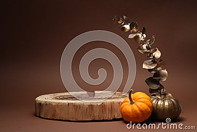 Autumn presentation for product. Wooden stump, pumpkins and golden branch with leaves on brown background, space for text Stock Photo