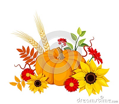 Autumn pumpkin and flowers. Vector illustration. Vector Illustration