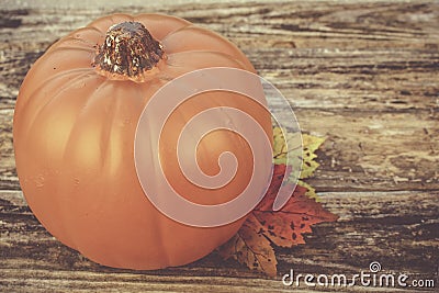 Autumn Pumpkin Stock Photo