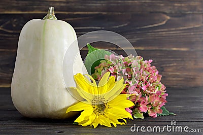 Autumn pumpkin, sunflower and hydrangea flower Stock Photo