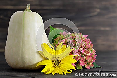 Autumn pumpkin, sunflower and hydrangea flower Stock Photo