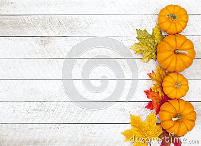 Autumn Pumpkin Thanksgiving Background Stock Photo