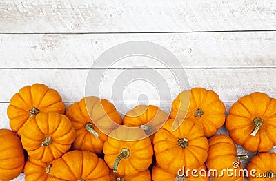 Autumn Pumpkin Thanksgiving Background Stock Photo