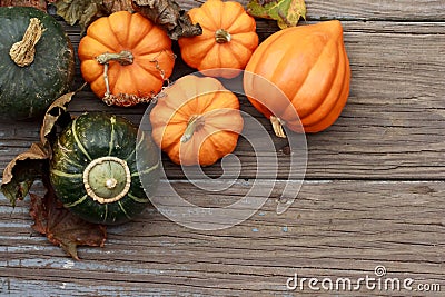 Autumn pumpkins Stock Photo