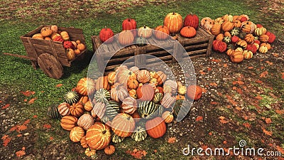 Autumn pumpkins at rural farmer`s market Top view Cartoon Illustration