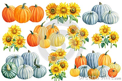 Autumn Pumpkins and sunflowers on a white isolated background. watercolor clipart. Cartoon Illustration