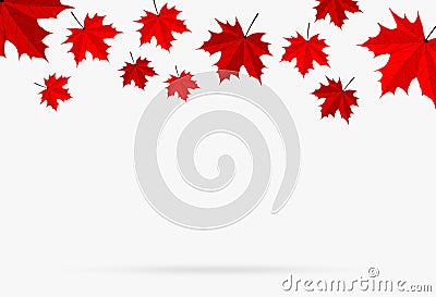 Autumn red maple leaf fall isolated on white background Vector Illustration