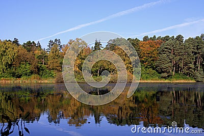 Autumn reflections Stock Photo